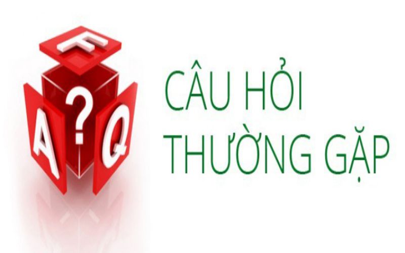 Tổng hợp các câu hỏi thường gặp Red88 Tổng hợp các câu hỏi thường gặp Red88